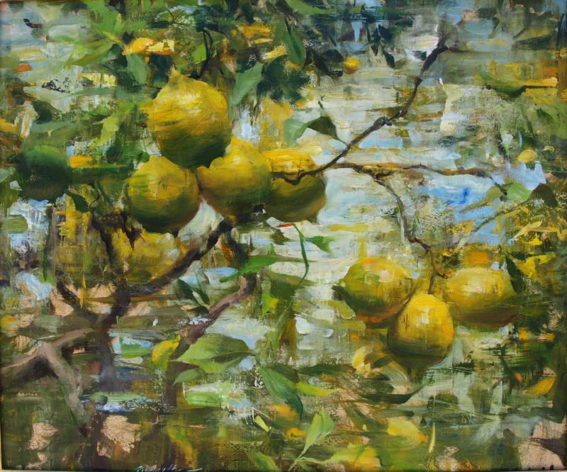 Lemon tree. Холст, масло. 20 x 24 дюйма