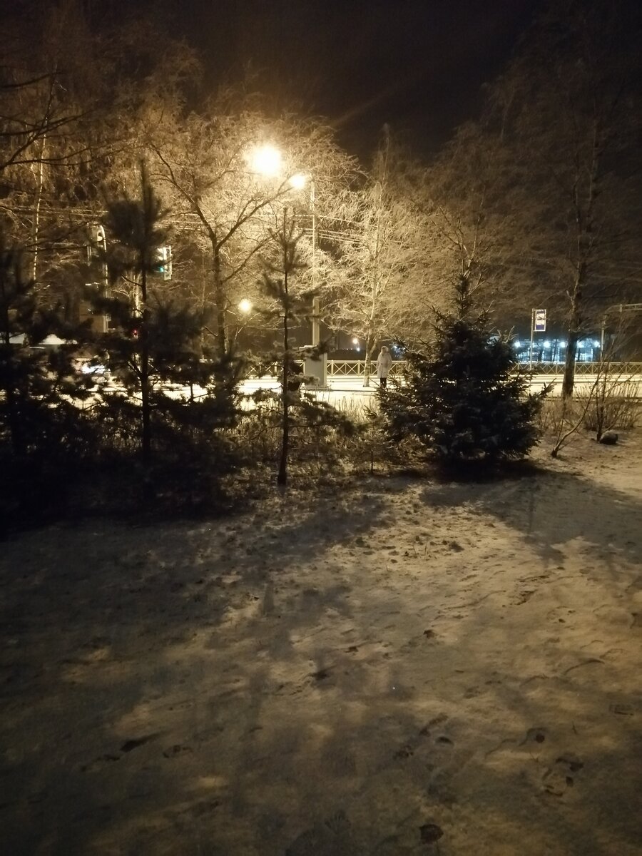 Зимнее вирусное