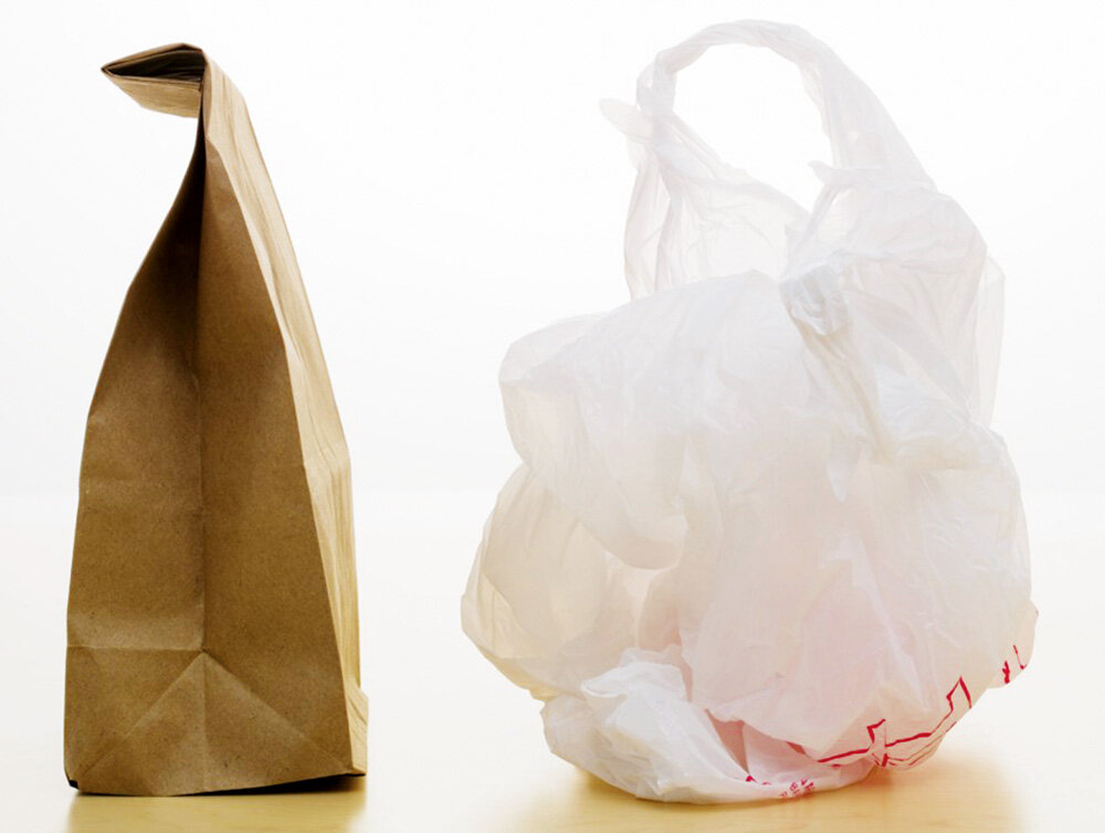 Paper bag vs plastic bag презентация