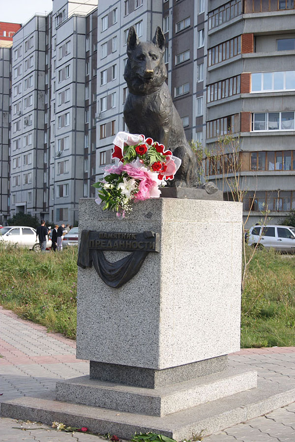 Памятник верности. Памятник преданности Тольятти. Памятник верному псу Тольятти. Памятник верности в Тольятти. Тольятти памятник собаке верному.