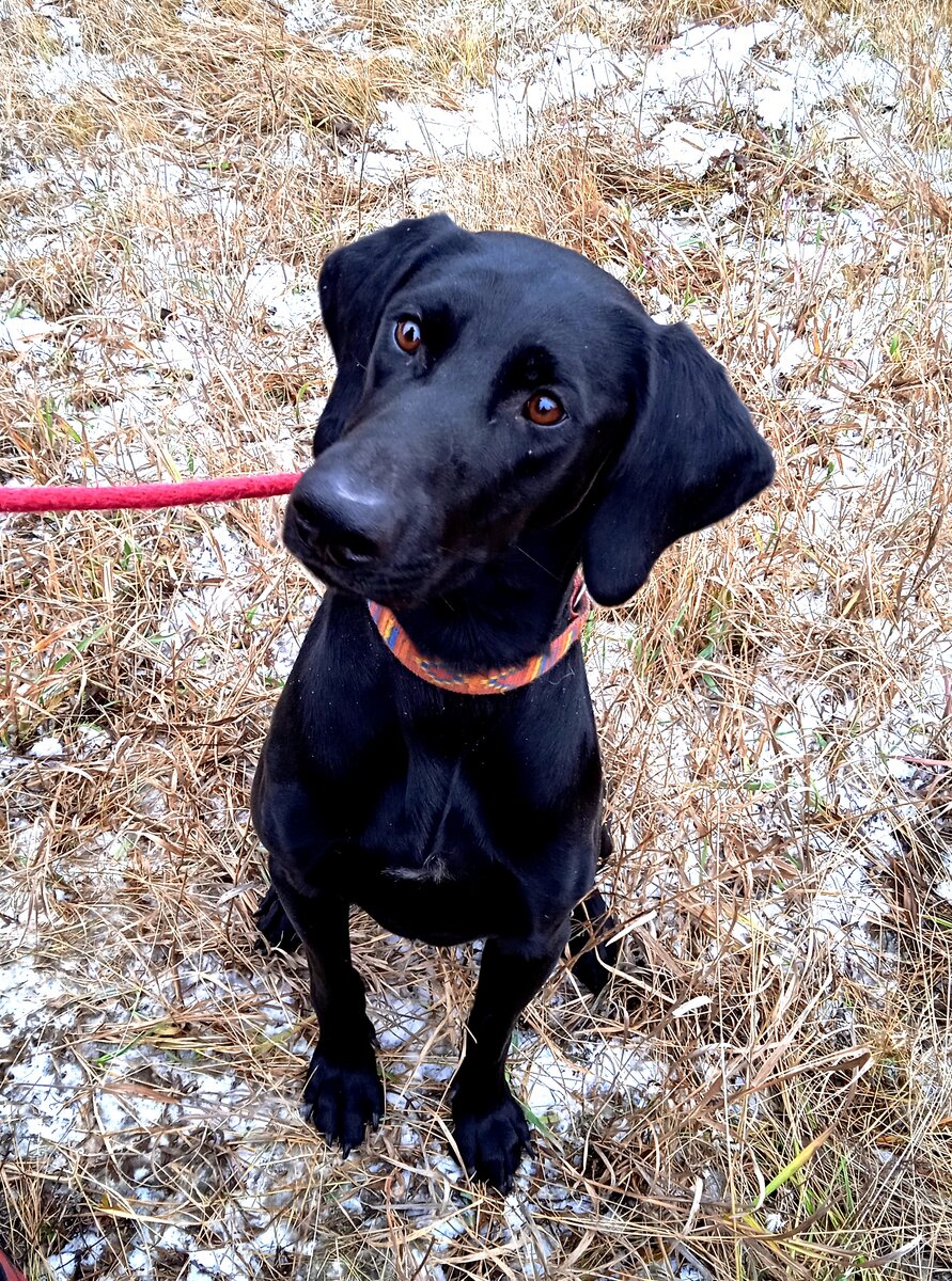 Черника (Borůvka) - наша молодая спортсменка.