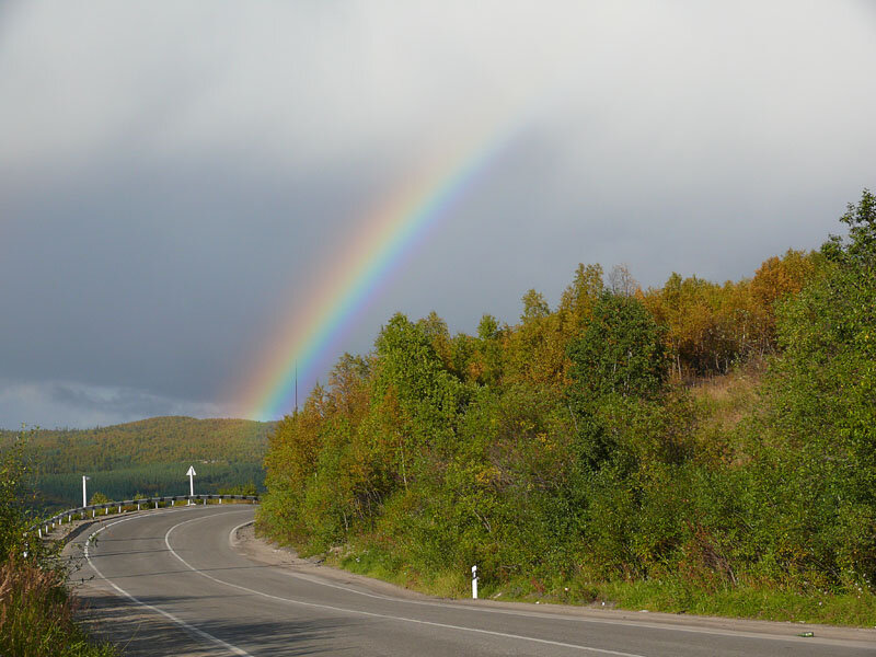 Яндекс.Картинки