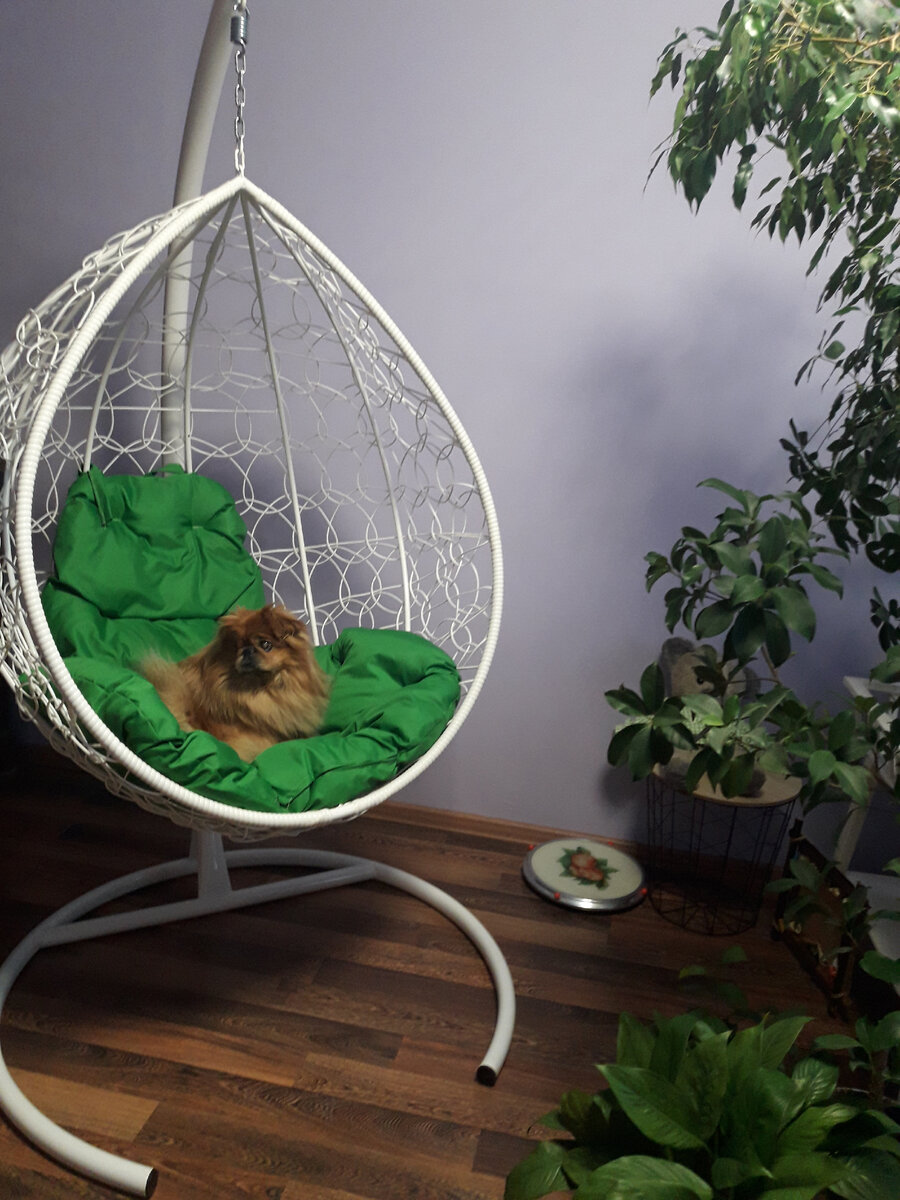 Фото автора канала