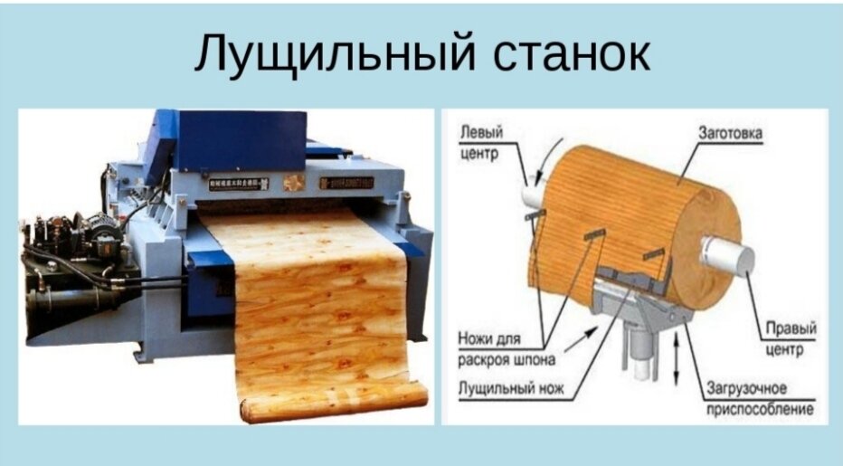 В каких областях производства применяется шпон