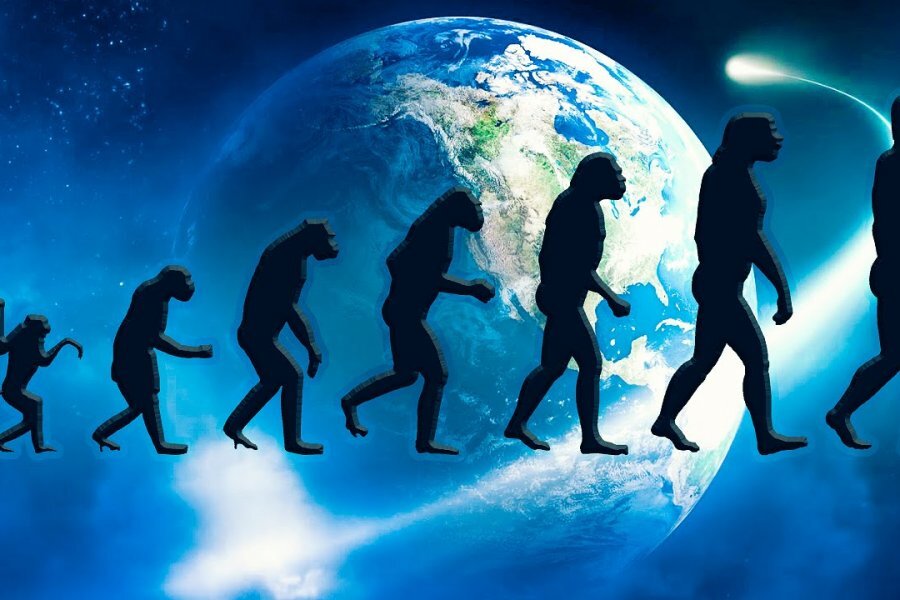 Возникновения жизни человека на земле. Современная Эволюция. Происхождение человека. Эволюция жизни человека. Теория эволюции.