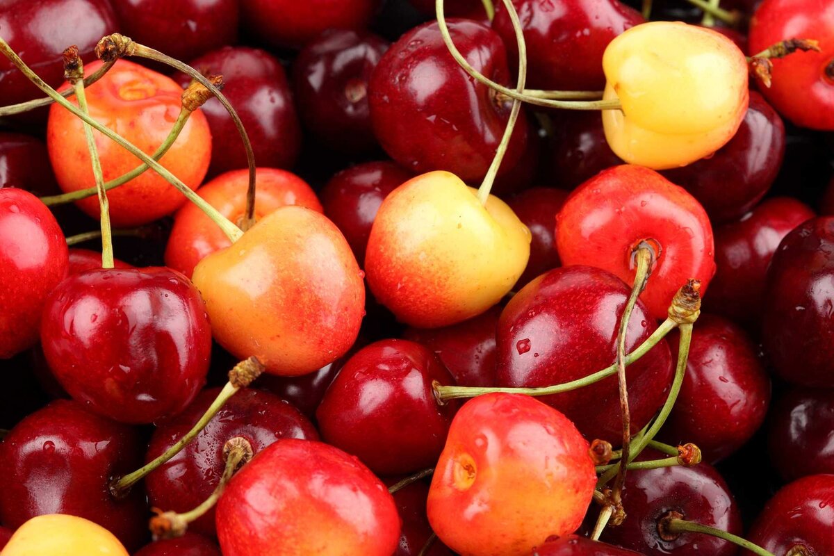 Черешня. Источник Яндекс.картинки