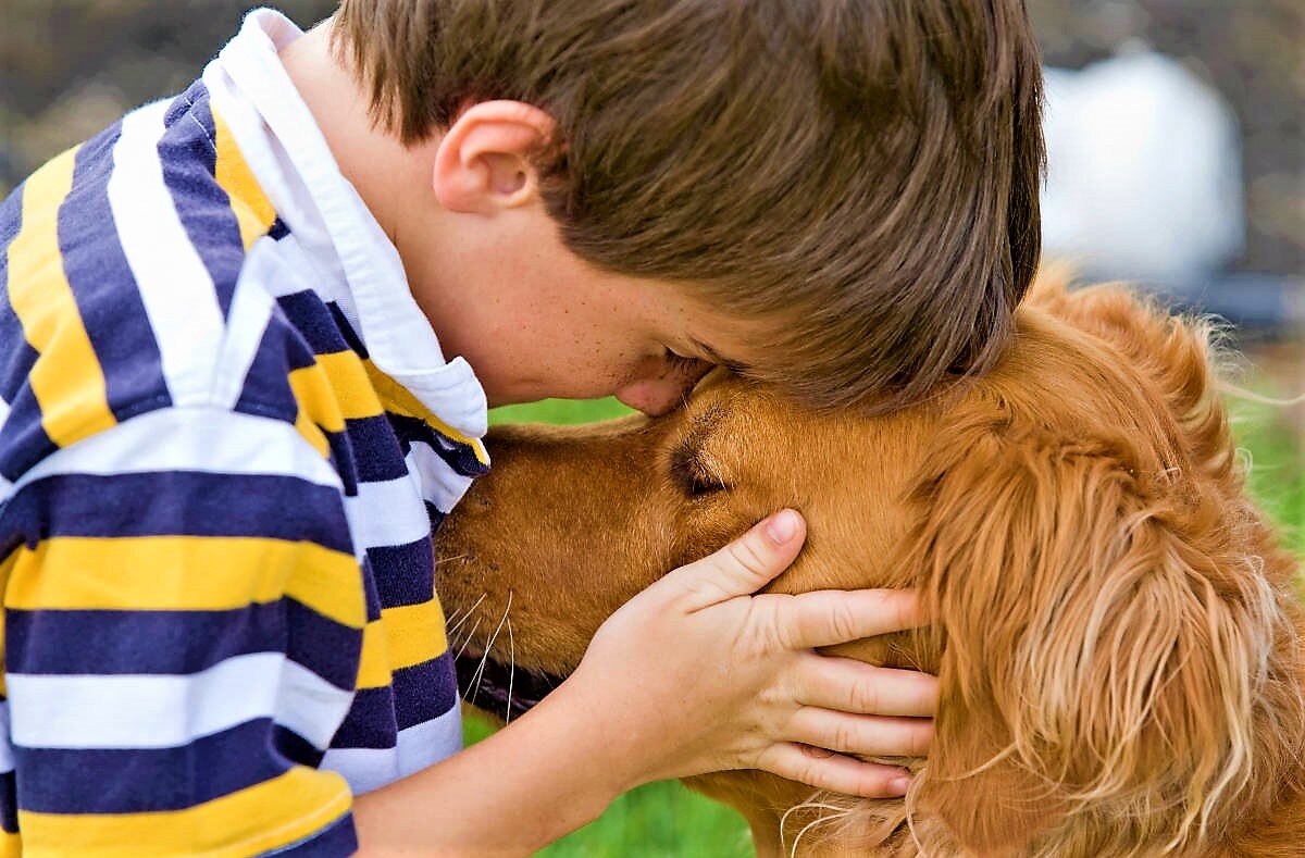 Фото для иллюстрации рассказа из свободных источников