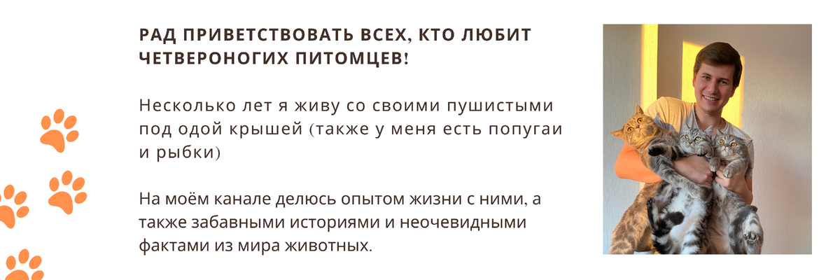 Приветствую всех читателей!