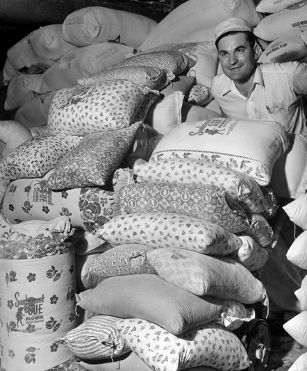 Фото: общественное достояние. 