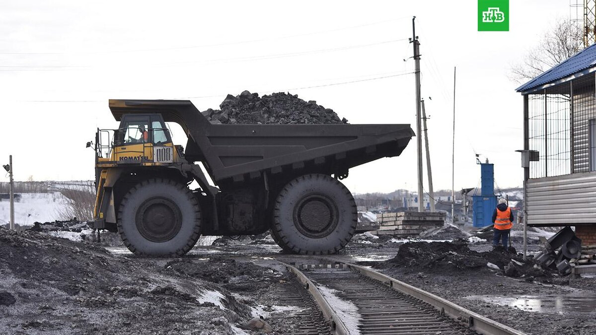    Фото: Christian Thiele / picture alliance / Getty Images