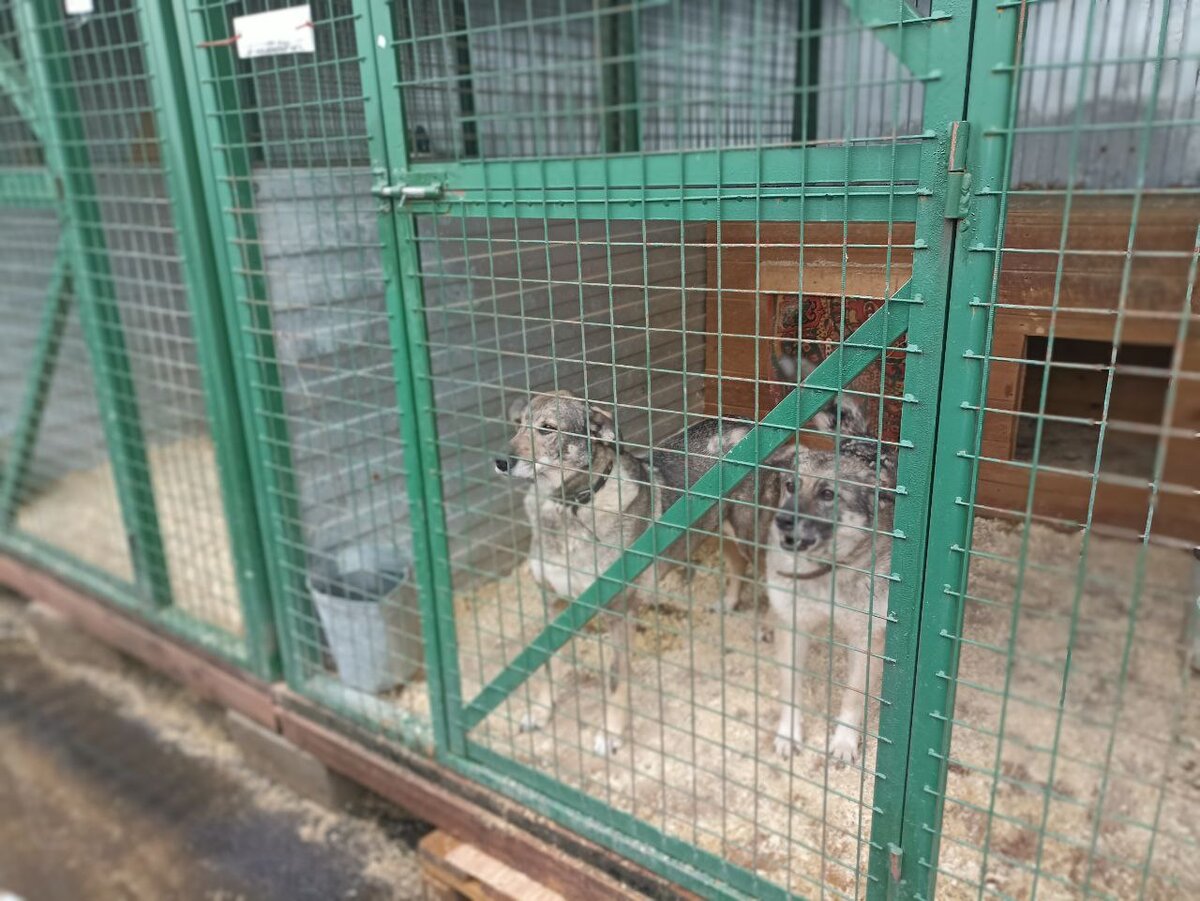 Они ждут тебя!