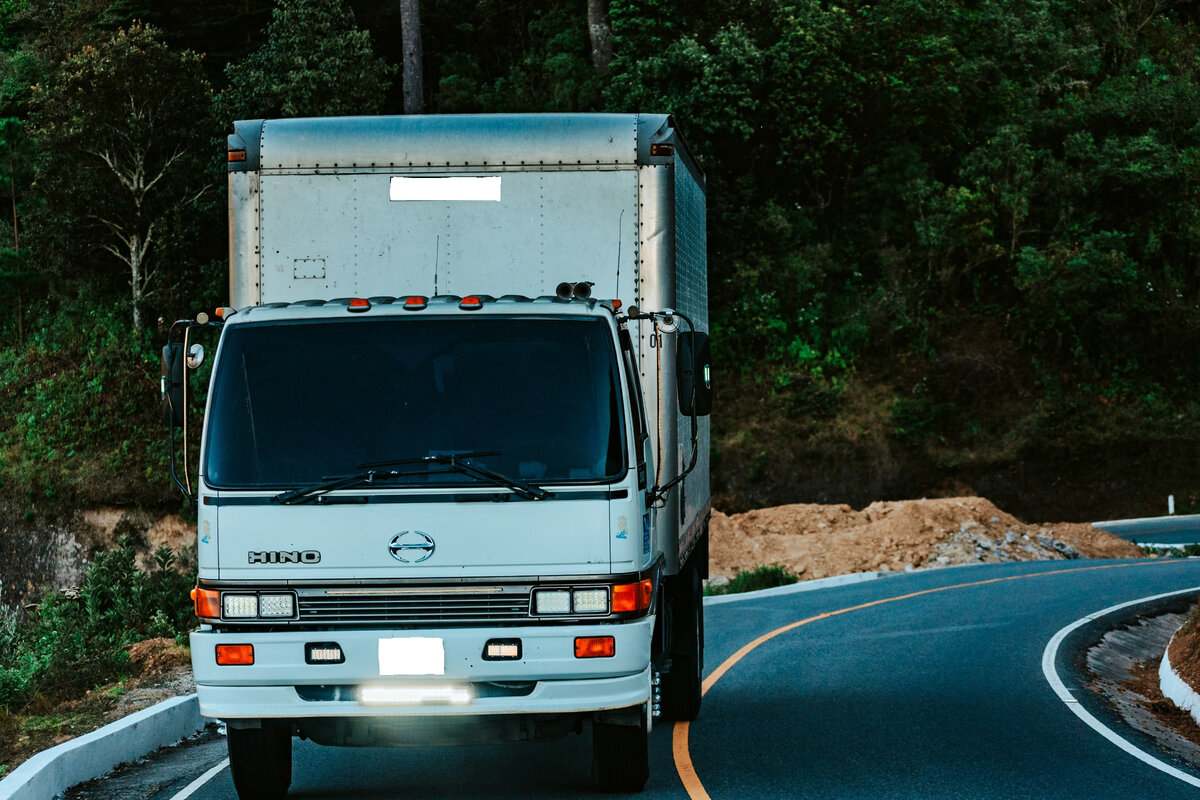 Фото автора Feli Arts Pexels, используется по лицензии Creative Commons 