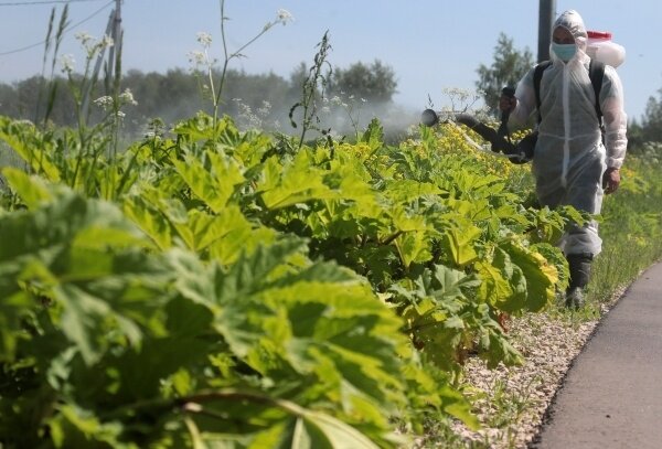 Фото: РИА Новости/Виталий Белоусов