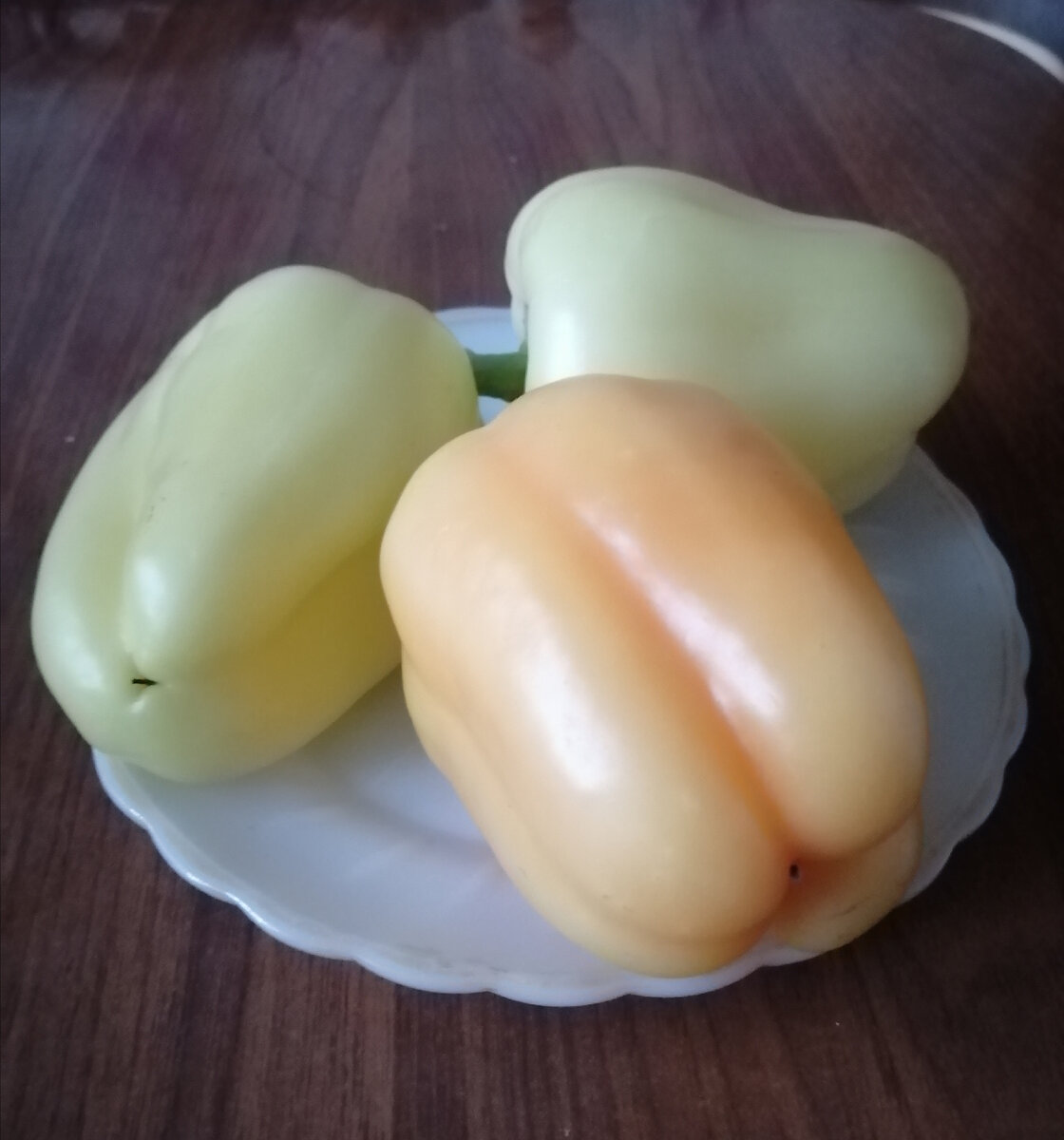 Сорвали первые перцы в теплице. 