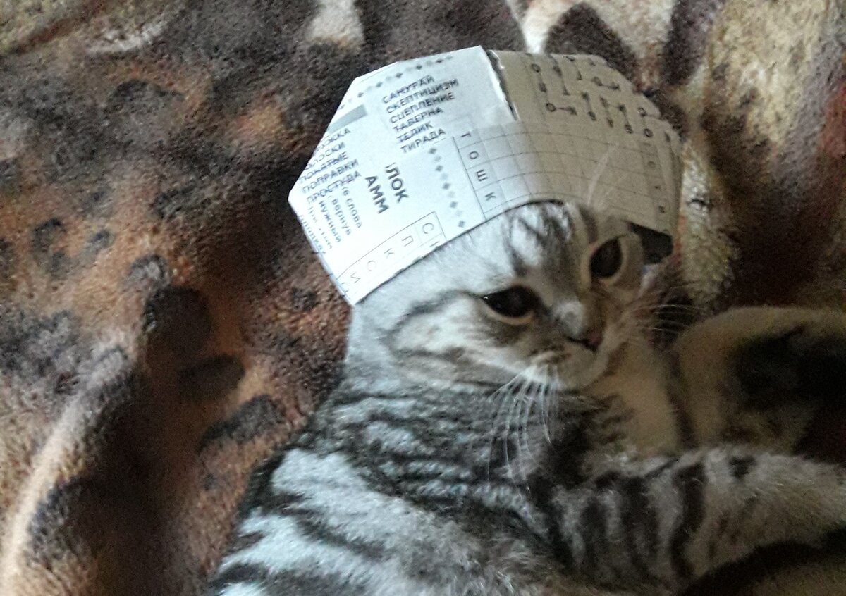 фото авторов канала.