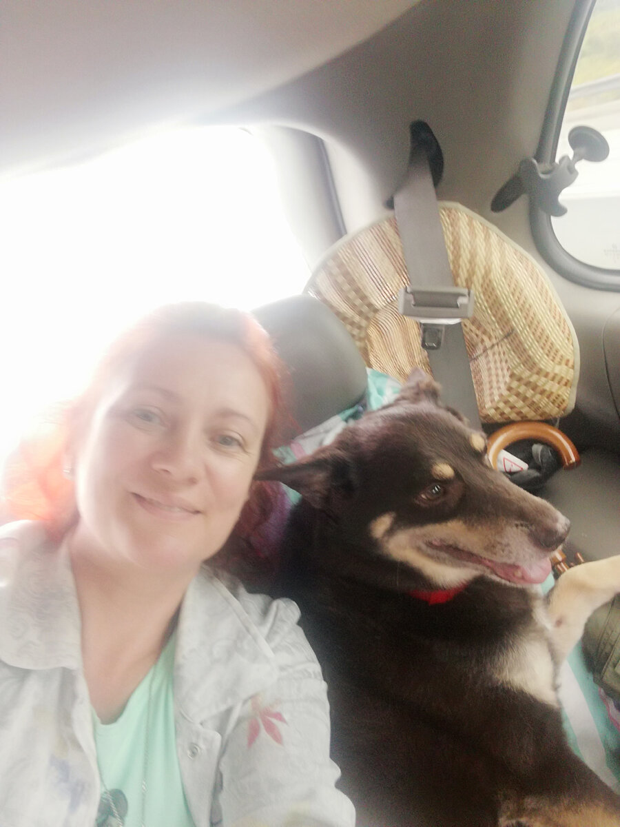 Крутите карусель