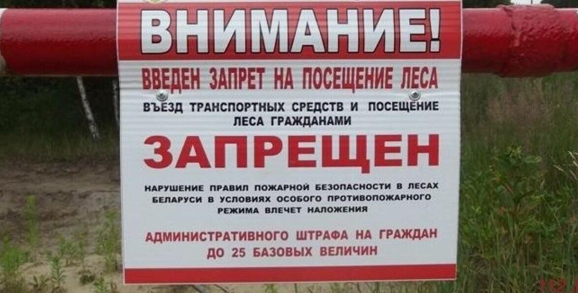 Картинки посещение леса запрещено