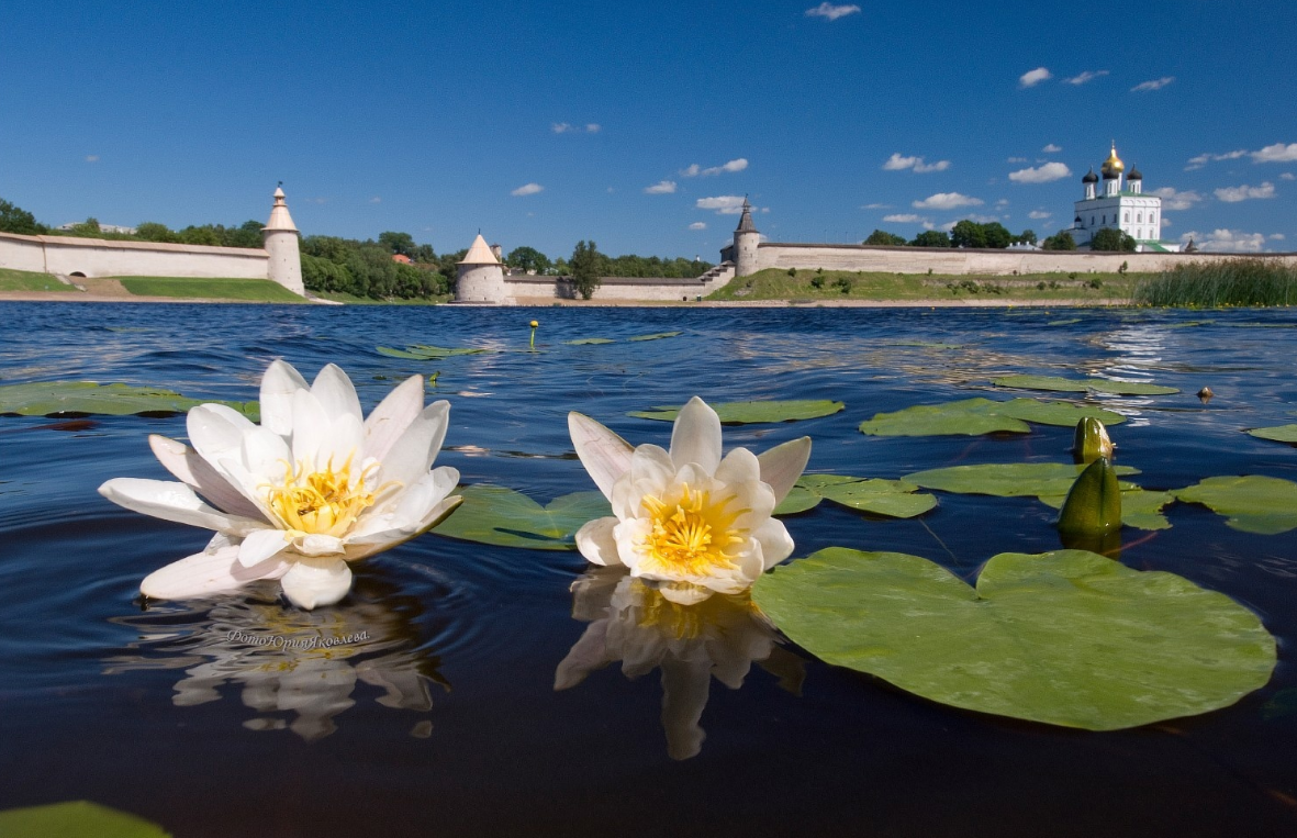 Это не фотошоп. Реальный снимок.