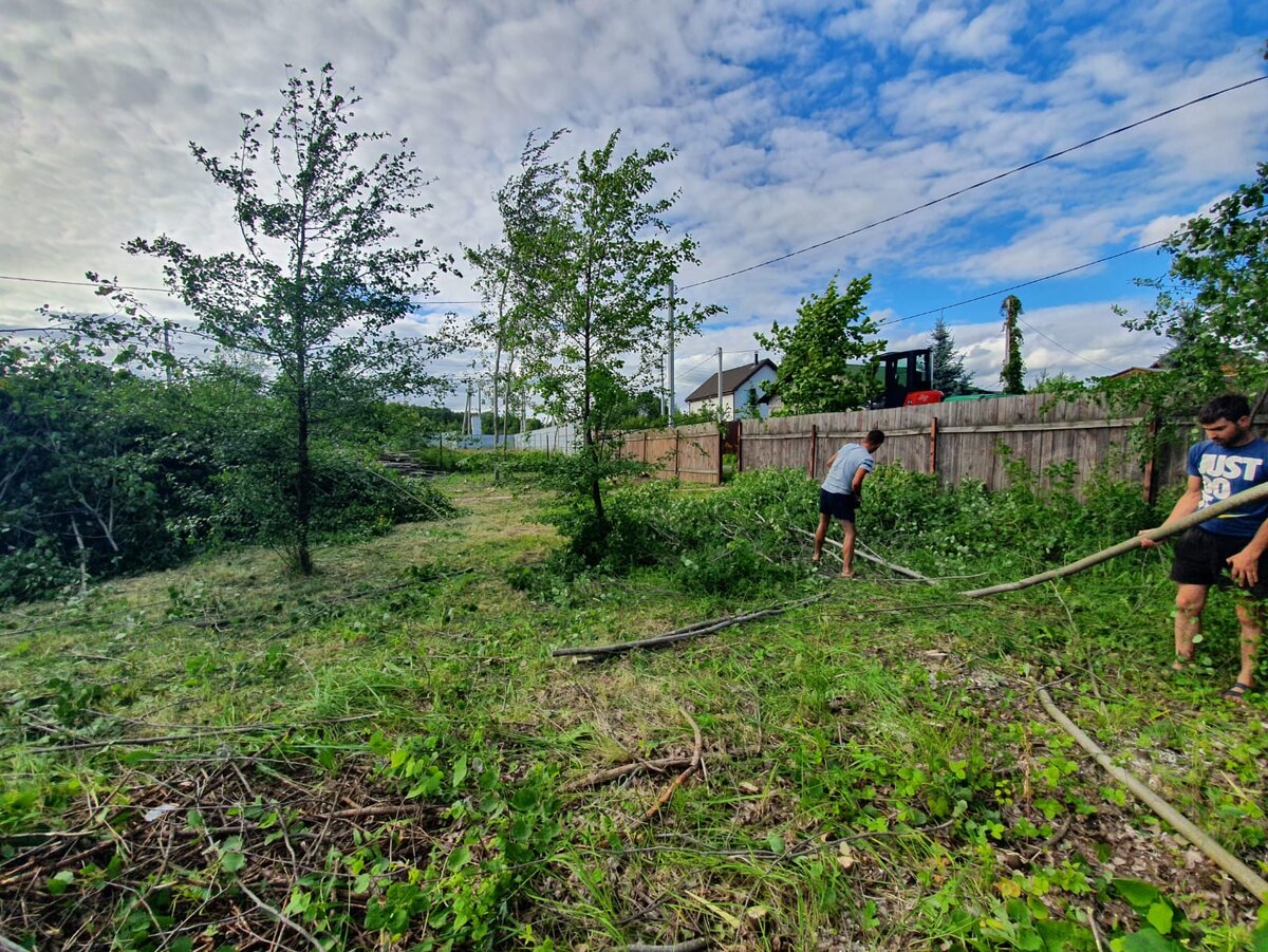 Территория в процессе расчистки 
