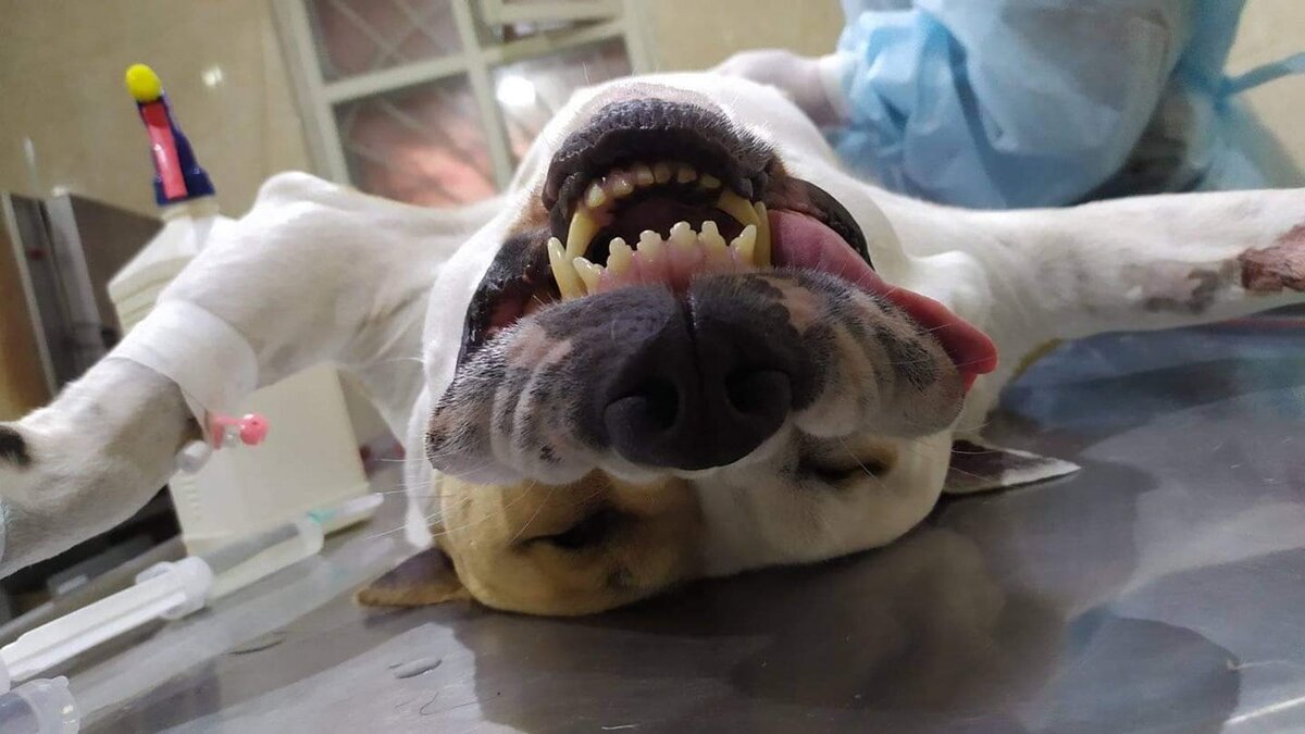   Фото: Анна Русич