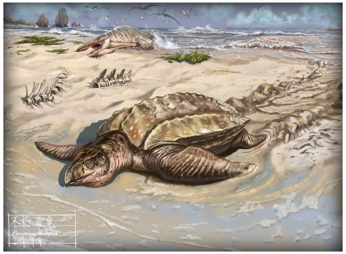 А этот, сзади, тоже яйца откладывать приполз?