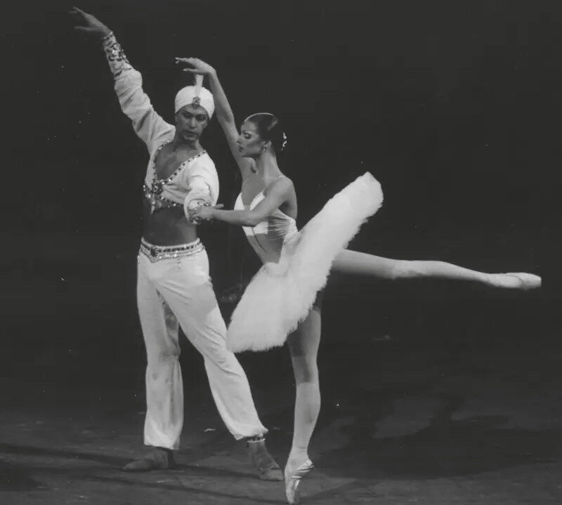 Николай Цискаридзе и Анастасия Волочкова