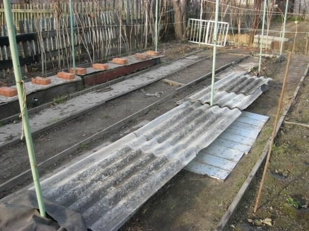 Добавьте описание