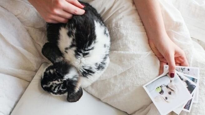        Источник: pxhere.com.