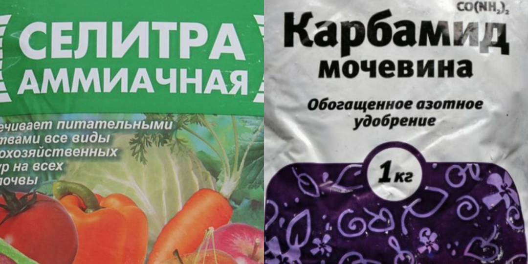 Эксперт рассказал: В чем отличие мочевины от аммиачной селитры и посоветовал какое удобрение заказать прямо сейчас.