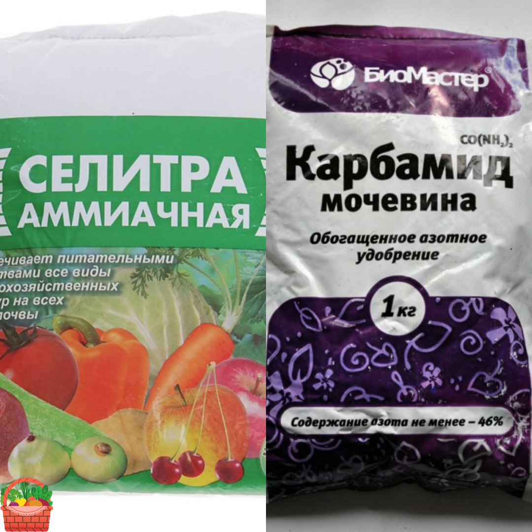 Ям как применять