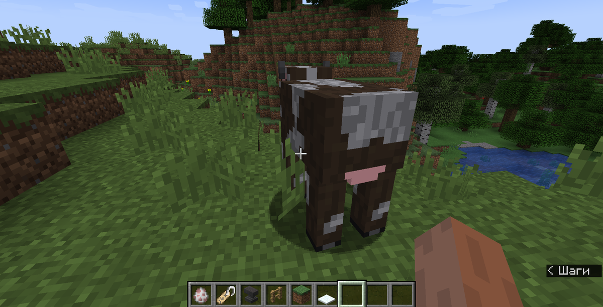 Знаю, не самый удачный скриншот