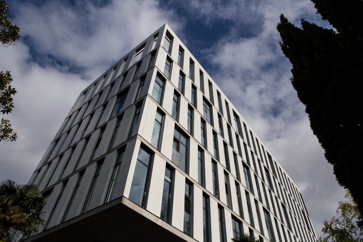 фото из коллекции Яндекс