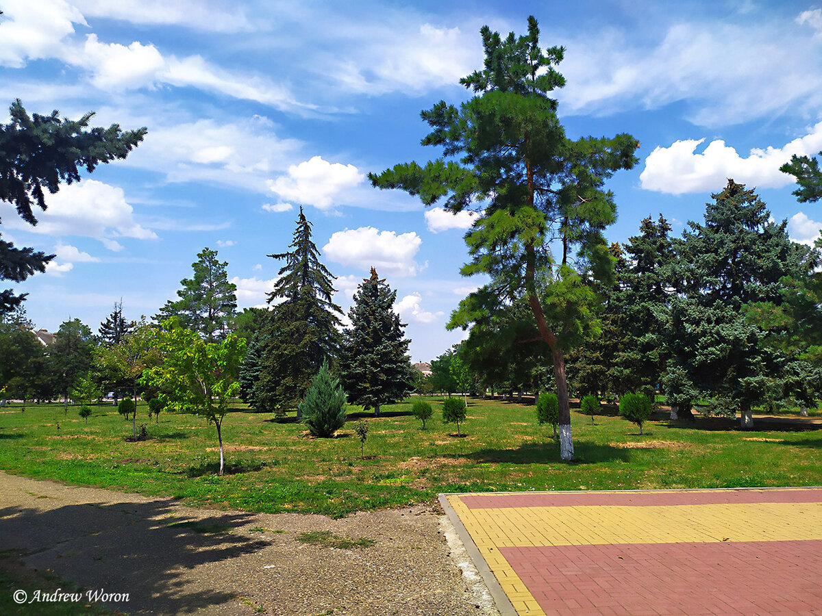 Северная часть парка