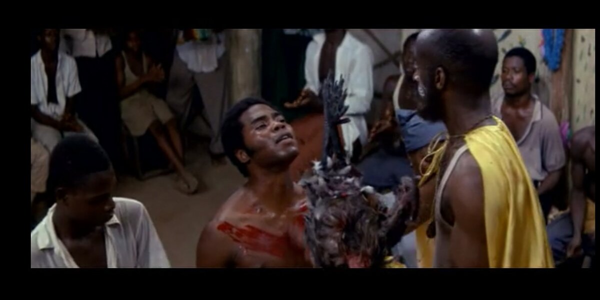 Долгожданная инициатива т. Голобородько была с воодушевлением встречена во многих странах мира. Кровь старого петуха также помогает от насморка, бородавок и герпеса.