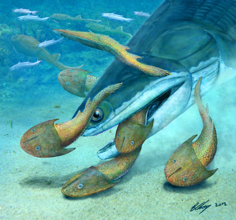 Мегамастакс поедает галеаспидов