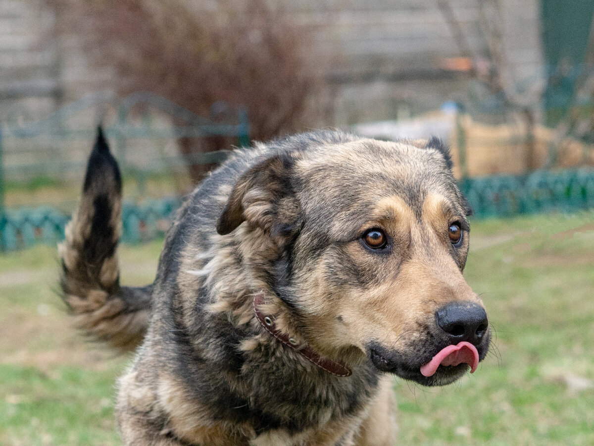 Истинная красота, она не бывает "кричащей". Она порой обыкновенная, но именно она настоящая! И Марсик, он такой! Настоящий во всем