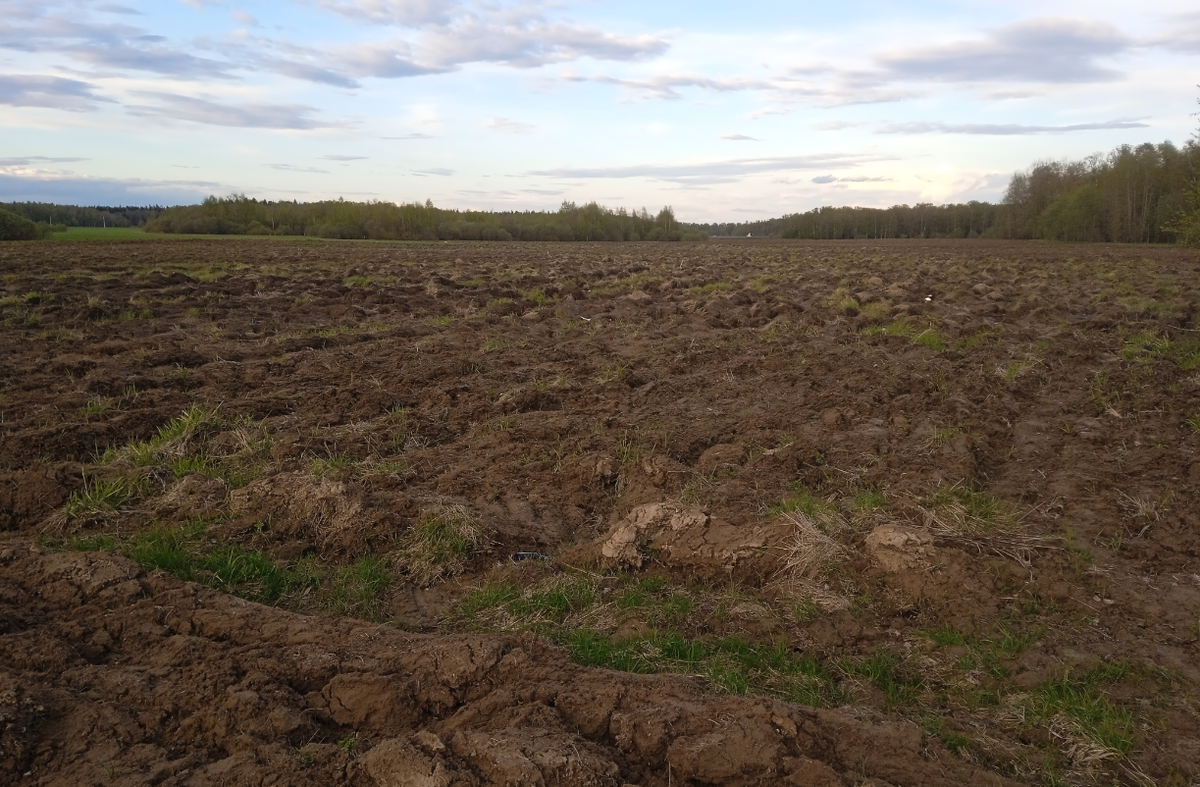 Перепашка очень грубая, ходить нормально почти что невозможно.
