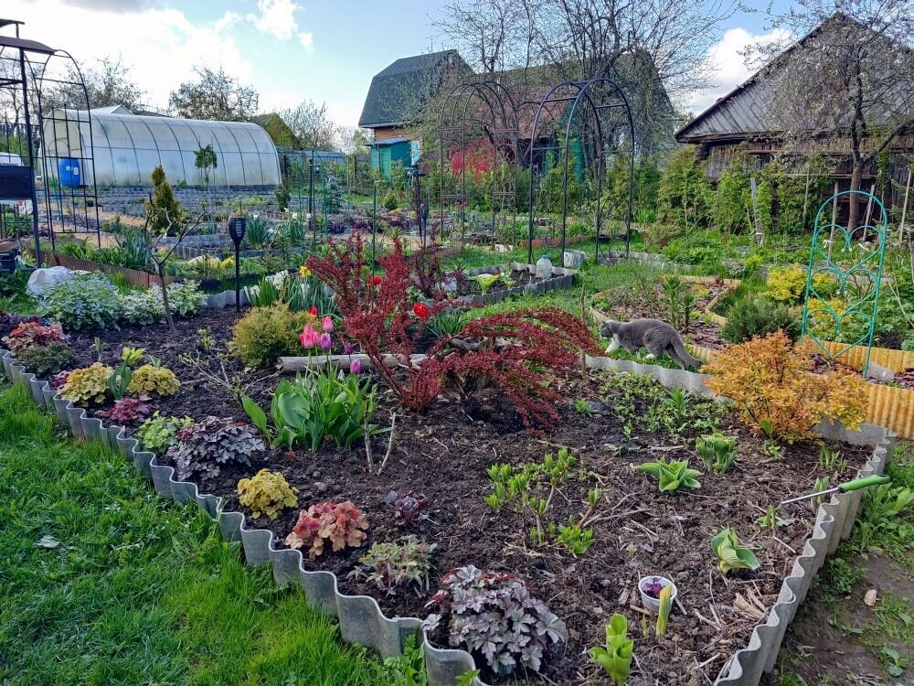 такая картинка в моем саду на 19 мая