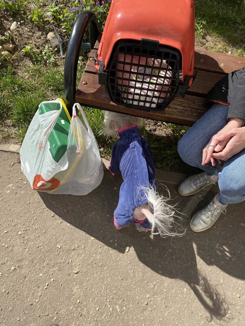 Черчиля привезли