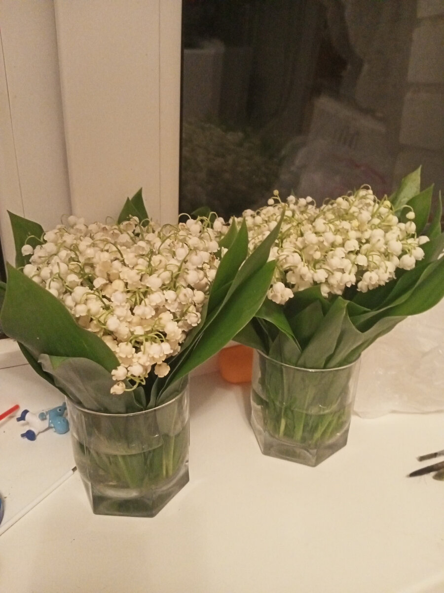 Фотография автора