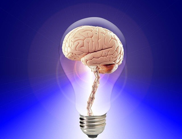 Источник; https://pixabay.com/