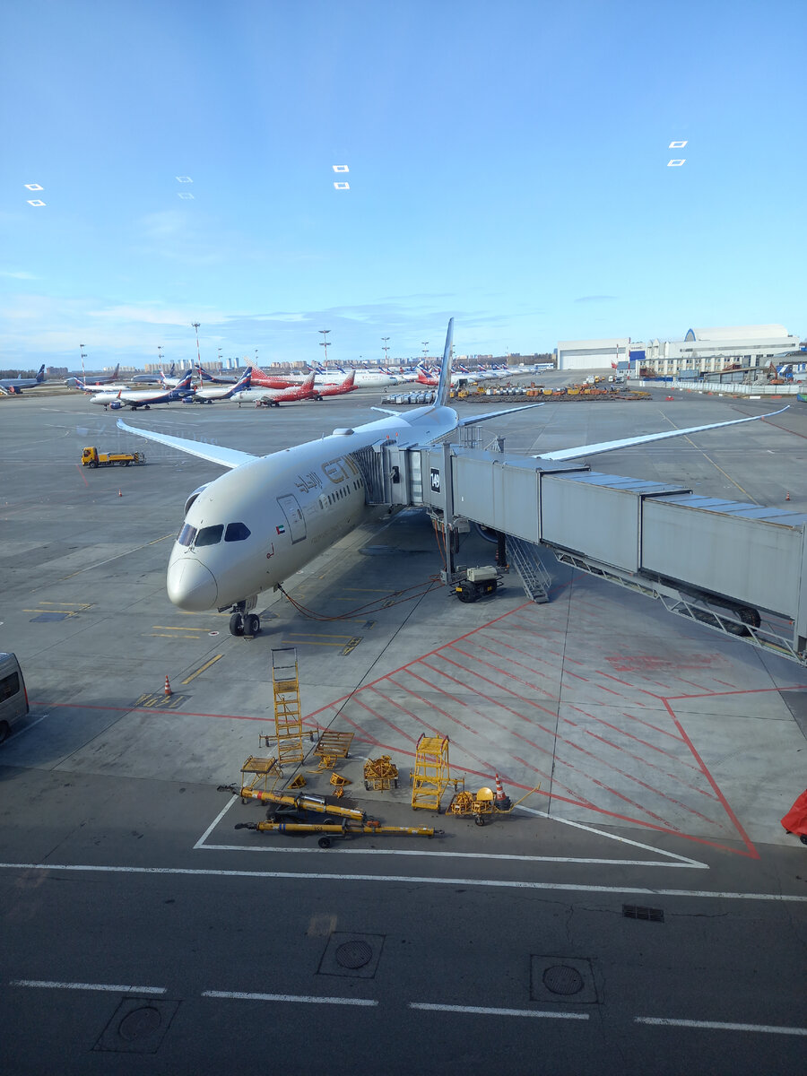 Самолет авиакомпании Etihad.