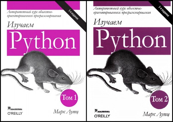 Большая книга проектов python pdf