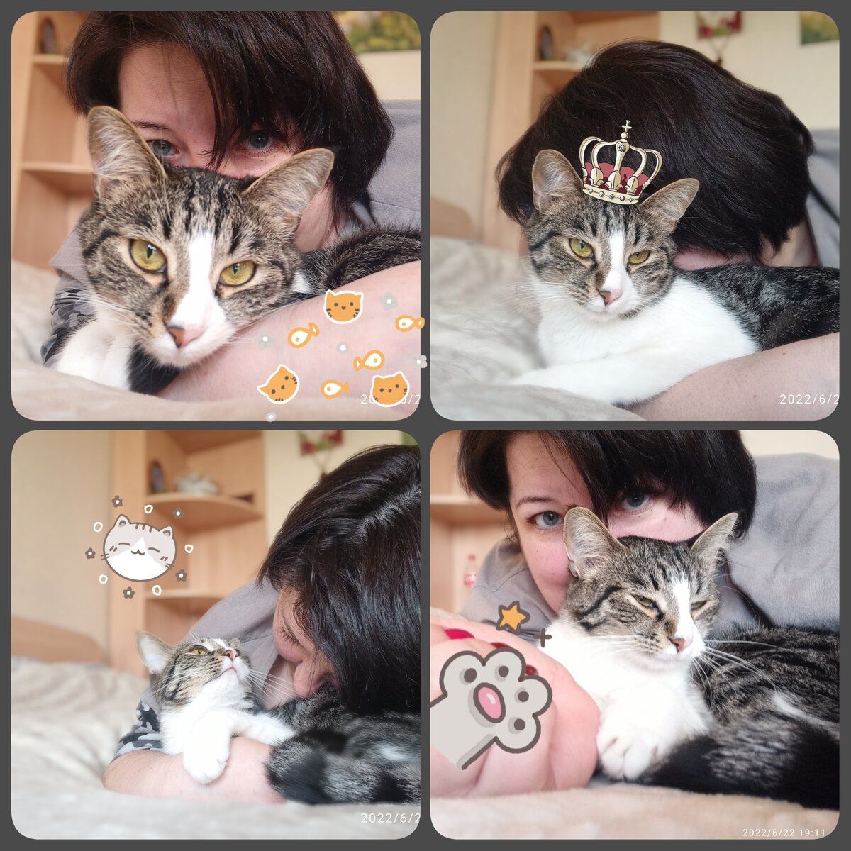 Вечерние мурчательные обнимашки