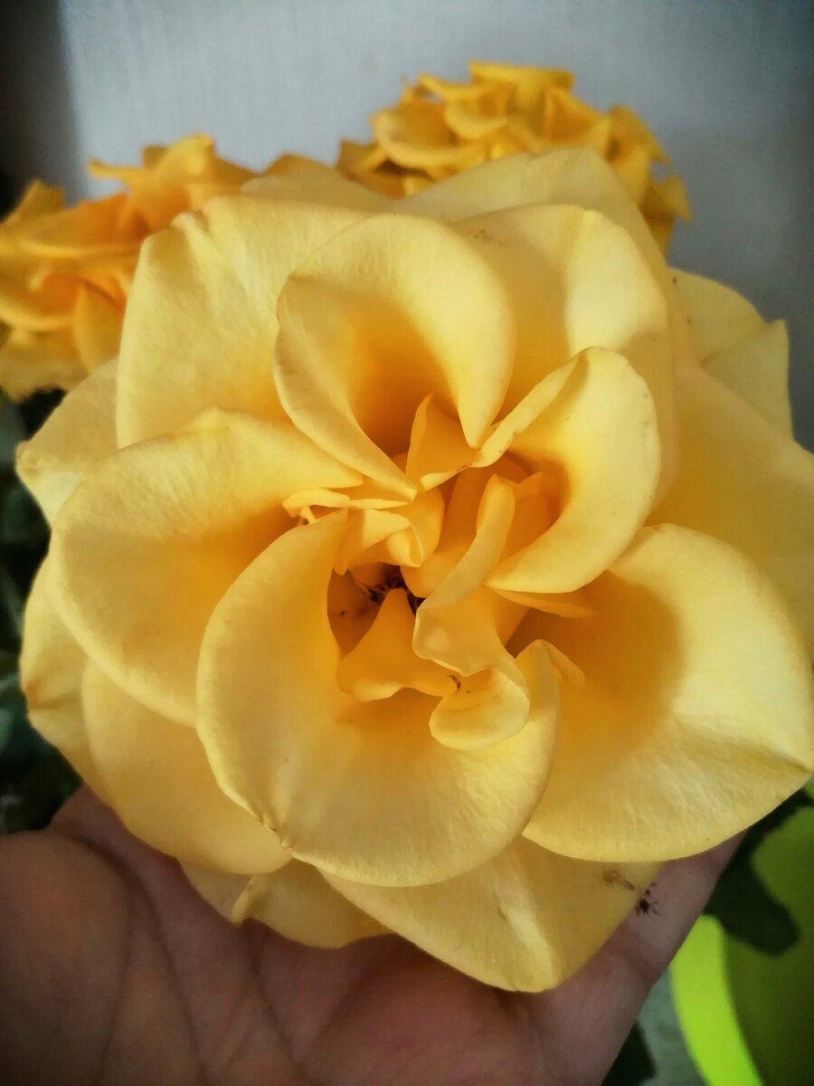 Фото автора.