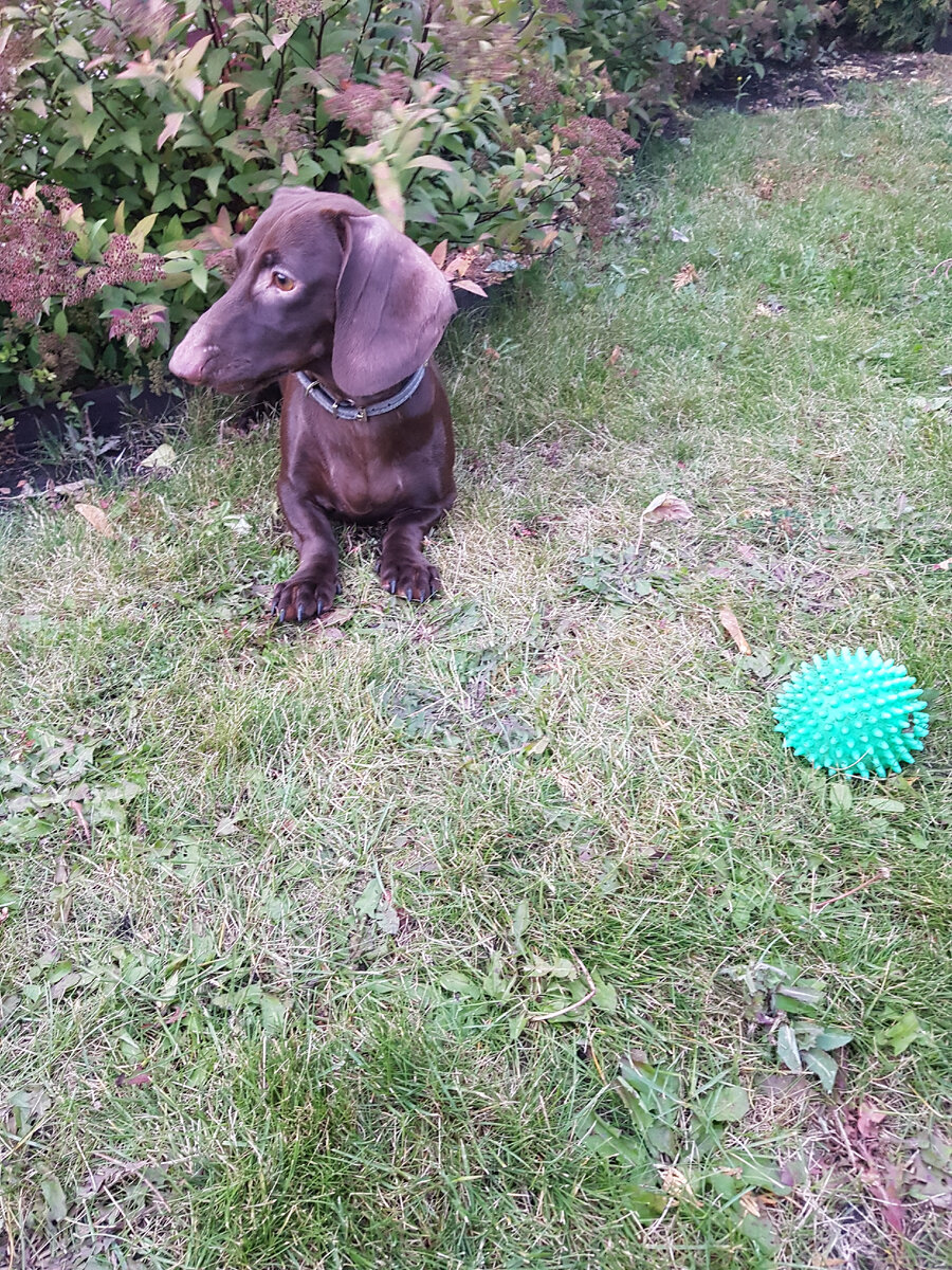 Где вы любите гулять?)