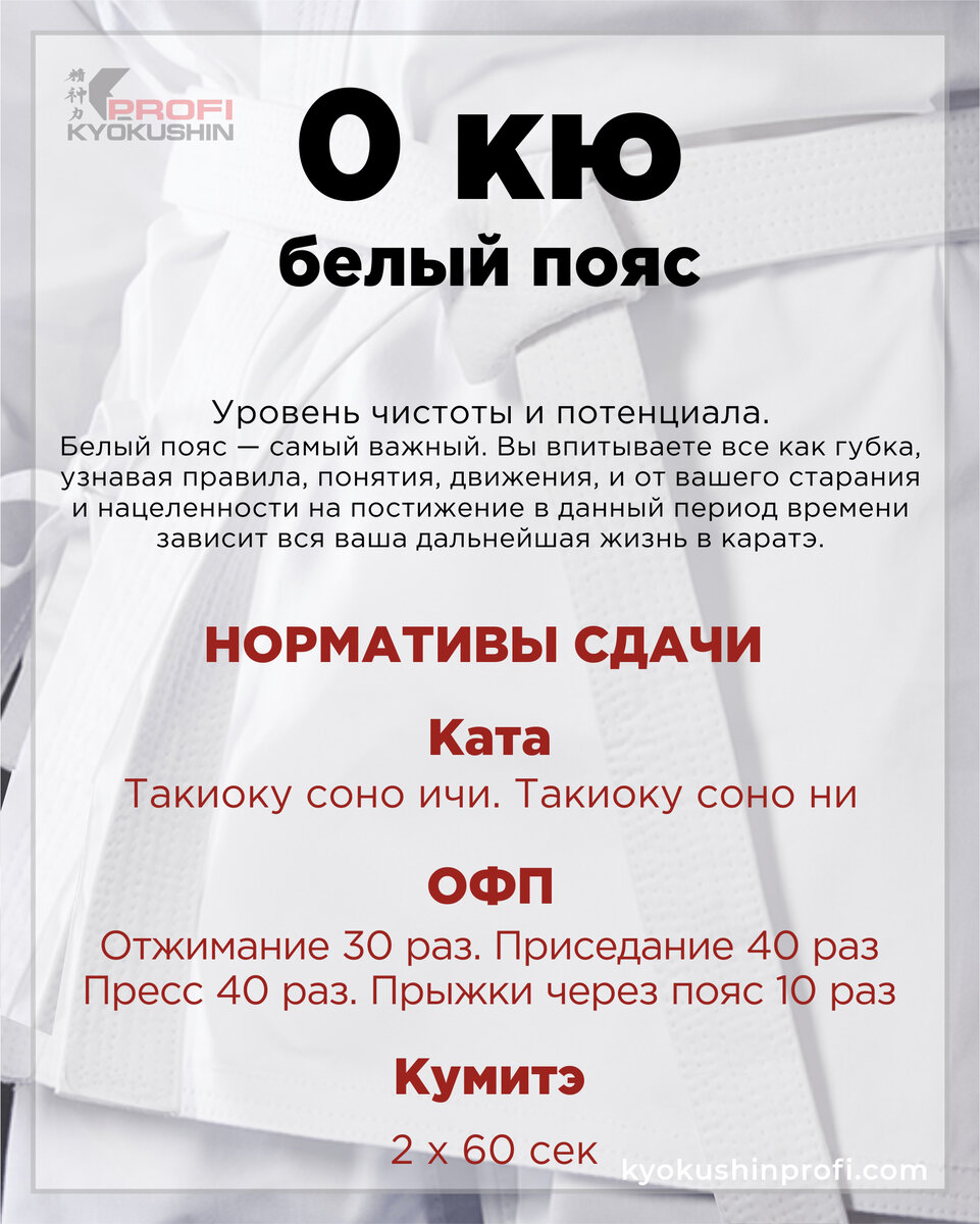 Пояса кёкусинкай карате: их последовательность и значение | Карате ...