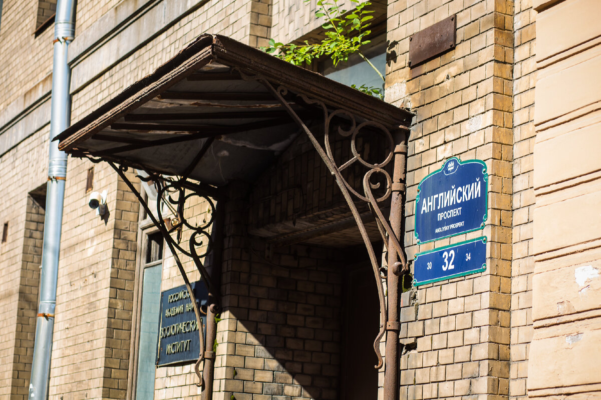 Фото: Надежда Панова