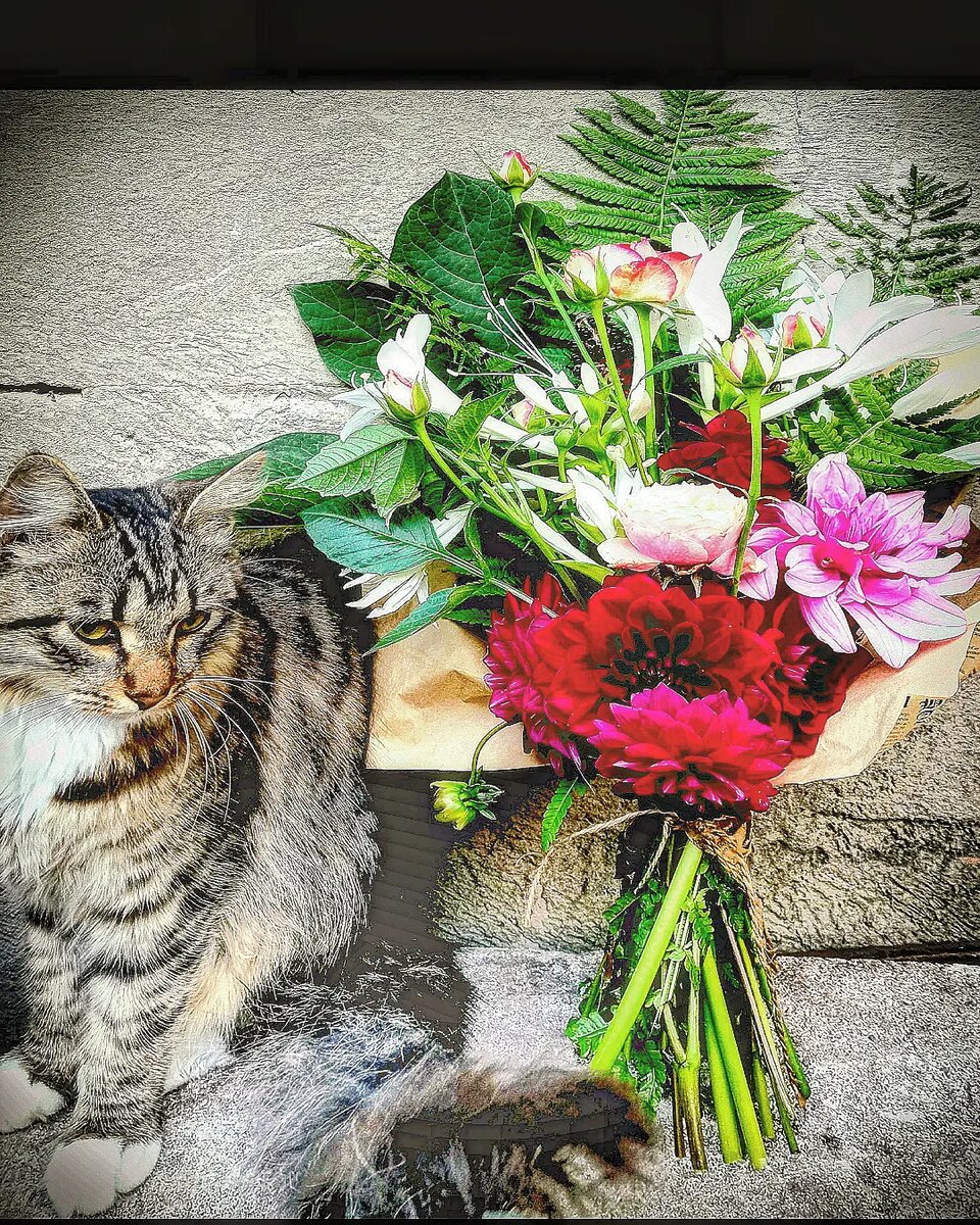 Фото автора 