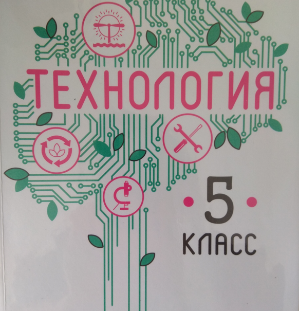 Темы творческих проектов по технологии 6 класс для девочек